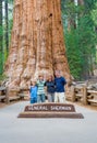 Happy family enjoys posing in sequoia national park in fromt of general sherman sequoia tree