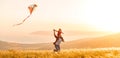 Happy family father and child daughter run with kite on meadow Royalty Free Stock Photo