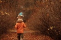 Happy family father and child daughter on a walk in the autumn leaf fall in park Royalty Free Stock Photo