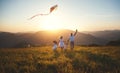 Happy family father, mother and children launch kite on nature Royalty Free Stock Photo