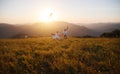 Happy family father,  mother and children launch  kite on nature at sunset Royalty Free Stock Photo