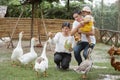 Happy family father, mother and son feed duck at farm Royalty Free Stock Photo