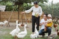 Happy family father, mother and son feed duck at farm Royalty Free Stock Photo