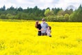 Happy family in a field of yellow flowers