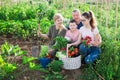 Happy family of four with basket of ripe vegetables on field