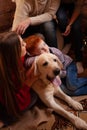 A happy family of four and a dog celebrate the New Year. Dad, mom, son and daughter love the dog and have fun against the Royalty Free Stock Photo