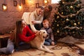 A happy family of four and a dog celebrate the New Year. Dad, mom, son and daughter love the dog and have fun against the Royalty Free Stock Photo