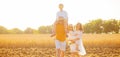 Happy family of four are spending time together in the sunlight on a wheat field laughing and carring children Royalty Free Stock Photo