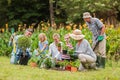 Happy family gardening