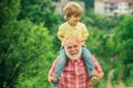 Happy family - grandfather and child on meadow in the summer on the nature. Happy joyful grandfather having fun throws