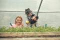 Happy family in greenhouse. Mum posing with green leaf in her mouth while kid is feeding dad with apple sitted on his Royalty Free Stock Photo