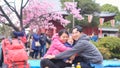 Happy family having fun outdoors in blossom spring public garden sightseeing sakura or cherry blossom in Tokyo, Japan