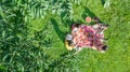 Happy family having picnic in park, parents with kids sitting on grass and eating healthy meals outdoors, aerial view from above Royalty Free Stock Photo