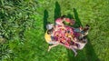 Happy family having picnic in park, parents with kids sitting on grass and eating healthy meals outdoors, aerial view from above Royalty Free Stock Photo