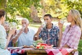 Happy family having picnic in the park Royalty Free Stock Photo