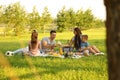 Happy family having picnic in park on sunny  day Royalty Free Stock Photo