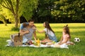 Happy family having picnic in park on summer day Royalty Free Stock Photo