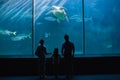 Happy family looking at fish tank Royalty Free Stock Photo