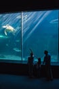 Happy family looking at fish tank Royalty Free Stock Photo