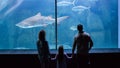 Happy family looking at the fish tank Royalty Free Stock Photo