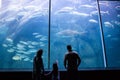 Happy family looking at the fish tank Royalty Free Stock Photo