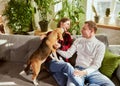 Happy family, man and woman cuddling their dog beagle, having fun together in living room. Young couple sitting on the Royalty Free Stock Photo