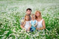 Happy family, mom, dad, son and daughter in a field of daisies. People in a flowering chamomile meadow in the summer Royalty Free Stock Photo