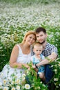 Happy family, mom, dad, son in a field of daisies at sunset. People on a blooming chamomile meadow in summer Royalty Free Stock Photo