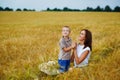 Happy family of a mother and a child in a summer wheat field. A young woman holds her son`s hand Royalty Free Stock Photo