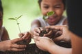 Happy family mother and daughter holding young tree Royalty Free Stock Photo