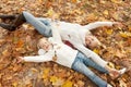 Happy family mother and daughter relax laying on leaves in autumn city park, looking at camera Royalty Free Stock Photo