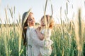 Happy family, mother in a dress with a cute little baby on a golden wheat field at sunset. summer day Royalty Free Stock Photo