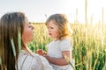 Happy family, mother in a dress with a cute little baby on a golden wheat field at sunset. summer day Royalty Free Stock Photo