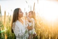 Happy family, mother in a dress with a cute little baby on a golden wheat field at sunset. summer day Royalty Free Stock Photo