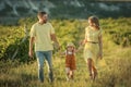 Happy family mother and baby hugging in a meadow yellow flowers on nature in summer Royalty Free Stock Photo