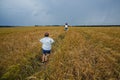 A happy family of mother and son in a summer wheat field. The son runs to meet the mother, and she opens her arms for a hug. Rural Royalty Free Stock Photo