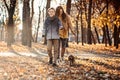 Happy family mother and teen boy son having fun with cocker spaniel puppy in autumn park Royalty Free Stock Photo