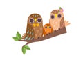 Happy Family of Owls, Father, Mother and Their Baby Owlet Sitting on Branch of Tree, Cute Cartoon Birds Characters Royalty Free Stock Photo