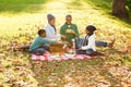 Happy family picnicking in the park together Royalty Free Stock Photo