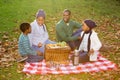 Happy family picnicking in the park together Royalty Free Stock Photo