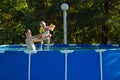 Happy family playing in swimming pool. Summer vacation concept.