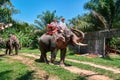 Happy family is riding an elephant. Dad and two cute sons go by on an elephant through the tropical jungle in sunny day.