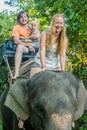 Happy family riding on an elephant, woman sitting on the elephant`s neck Royalty Free Stock Photo