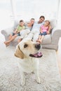 Happy family sitting on couch with their pet yellow labrador on the rug Royalty Free Stock Photo