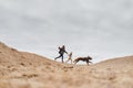 Happy family and their dog running along the sandy beach Royalty Free Stock Photo