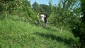 Happy family with three children walking through the peach orchard