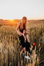 Happy family together on sunset in summer golden wheat field. Summertime. Royalty Free Stock Photo