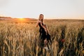 Happy family together on sunset in summer golden wheat field. Summertime Royalty Free Stock Photo