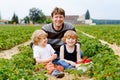 Happy family of two preschool little boys and father picking and eating strawberries on organic bio berry farm in summer