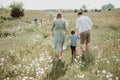 Happy family walking in field of blooming flowers from behind, dad mom and son, rear view photo on summer day Royalty Free Stock Photo